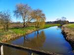 An der Vechte zwischen Ohne und Schüttorf, 19.03.21