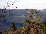 Blick vom Wurmberg Richtung Brocken.