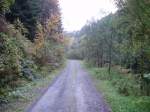 aufgenommen bei romkerhalle im okertal  waldweg mit herbstlandschft