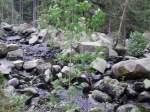 aufgenommen im okertal/harz
zwischen romkerhalle und der nachsperre 
der okertalsperre