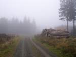 26.10.2007: Ein nebeliger Tag am Wanderweg bei Hahnenklee.