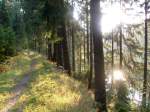 14.10.2008: Die Sonne scheint durch die Bume am Grumbacher Teich.