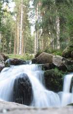 Blick am frhen Abend des 21.09.2011 im Bodetal bei Braunlage zu den Oberen Wasserfllen der Groen Bode und dem Urwald des Nationalparks.