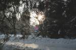 Wintermärchen im Wald bei Braunlage: Die Sonne steht schon tief am Nachmittag des 30.01.2012; Blick vom Brockenweg im Tal der Warmen Bode.
