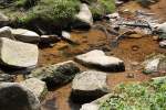 Die Oder bei Oderbrck im Nationalpark Harz; Aufnahme vom Nachmittag des 20.05.2012 