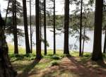 Der Oderteich im Nationalpark Harz; Aufnahme vom 08.06.2012.