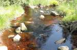 Ein Wildbach in der Nhe des Oderteichs im Nationalpark Harz; Aufnahme am Nachmittag des 30.06.2012 vom  Mrchenweg  zwischen Torfhaus und dem Oderteich.