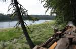 Der Oderteich im Nationalpark Harz; Aufnahme am Nachmittag des 30.06.2012 vom Rundwanderweg am Ostufer des Stausees.