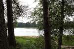 Laubbume am Ufer des Oderteichs im Nationalpark Harz; Aufnahme am Nachmittag des 30.06.2012 vom Rundwanderweg am Ostufer des Sees.