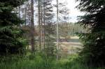 Der Oderteich inmitten des werdenden Urwalds im Nationalpark Harz; Blick am spten Nachmittag des 30.06.2012 vom Rundwanderweg am Westufer des Stausees.