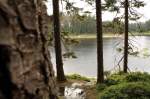 Der Oderteich im Nationalpark Harz; Blick am spten Nachmittag des 30.06.2012 vom Rundwanderweg am steilen Ostufer hinunter auf den See.