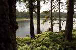 Der Oderteich im Nationalpark Harz; Blick am spten Nachmittag des 30.06.2012 vom Rundwanderweg am steilen Ostufer hinunter auf die Wasserflche.