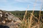 Die Achtermannshhe, von den Jermersteinklippen aus gesehen; Blick am Morgen des 10.09.20122 von einem der Felstrme auf dem Jermerstein Richtung Nordwest