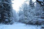 Harz im Schnee; unterwegs am Vormittag des 02.12.2012 zwischen Braunlage und den Hahnenkleeklippen...