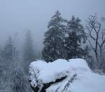 Blick am spten Vormittag des 02.12.2012 von den Hahnenkleeklippen hinunter Richtung Odertal, das in dichtem Nebel liegt.