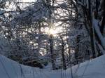 Abend im Wald auf dem Jermerstein; Aufnahme vom 07.12.2012...