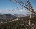 Ksteklippe/Okertal: Zweige einer Eberesche mit Knospen und Eisgebilden vor der Kulisse des weiten Blicks ber das Okertal, Oker und das Harzvorland; Aufnahme vom Nachmittag des 07.04.2013 auf der