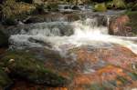 An den Oberen Wasserfllen der Groen Bode bei Braunlage 4; Aufnahme vom Nachmittag des 03.05.2013...