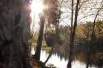 Strahlende Oktobersonne in den Bäumen am Ufer des Silberteichs; Aufnahme vom Nachmittag des 22.10.2013 vom  Naturmythenweg  entlang des Ostufers...