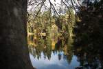 Silberteich und Wald in der warmen Oktobersonne; Aufnahme vom Nachmittag des 22.10.2013     vom Westufer des Teichs...