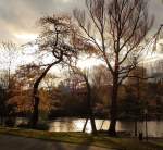 Oktoberabend in Braunlage: Bäume und Teich im Kurpark im Gegenlicht der Spätnachmittagssonne; Aufnahme vom 29.10.2013...