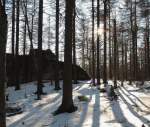 Wintersonne im Wald der Achtermannshöhe mit ihren Felstürmen; Aufnahme vom Nachmittag des 12.12.2013...