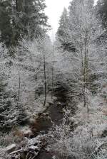 Die Bode fließt heute durch einen Silberwald; von Rauhreif bedeckter Wald im Nebel an der Bärenbrücke bei Braunlage; Aufnahme vom Vormittag des 30.11.2014...