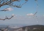 An den Zweigen einer Eberesche hängt ein Eisgebilde; Aufnahme vom Nachmittag des 07.04.2013 auf der Kästeklippe hoch über dem Okertal...