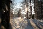 Morgensonne im Wald nahe Braunlage; im Hintergrund das Tal mit dem Städtchen. Aufnahme vom 13.02.2016...