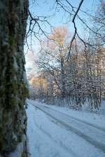 Winterliche Morgenstimmung im Wald nahe Braunlage; Aufnahme vom 13.02.2016...