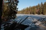 Silberteich mit vereister Wasserfläche im Nationalpark Harz; Blick am Nachmittag des 09.03.2016 vom Westufer...