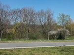 Da der HEX in Richtung Halberstadt ausgefallen ist, blieb Zeit für einen Blick vom Bahnhof Vienenburg in Richtung Vienenburger See am 21.