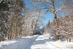 Wintermärchen Harz am Sonntag, 21.01.2018; der im Sonnenschein funkelnde Wald an der Alten Harzburger Straße ist zu einem Paradies geworden; Aufnahme am frühen Nachmittag in der Nähe von Braunlage...