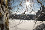 Wintermärchen Harz am Sonntag, 21.01.2018; Wald und Waldwiese im Gegenlicht der Sonne; Aufnahme am frühen Nachmittag in der Nähe von Braunlage...