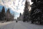 Unterwegs im Wintermärchenwald Harz am Sonntag, 21.01.2018; Wolken ziehen auf, aber noch scheint die Sonne. Aufnahme vom frühen Nachmittag auf dem Kaiserweg in Richtung Silberteich...