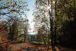 Sonniger Oktobertag an der Alten Harzburger Straße bei Braunlage.