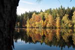  Indian Summer  am Silberteich bei Braunlage; Aufnahme Richtung Südwesten um die Mittagszeit des 17.10.2018...