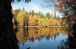  Indian Summer  am Silberteich bei Braunlage im Harz; Aufnahme Richtung Westufer um die Mittagszeit des 17.10.2018...