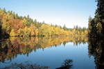  Indian Summer  am Silberteich im Harz; Aufnahme um die Mittagszeit des 17.10.2018...