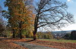 So etwas wie  Indian Summer  an der Alten Harzburger Straße bei Braunlage; im Hintergrund Blick über den südwestlichen Teil der Stadt, am Horizont Bergreihen des Ostharzes.