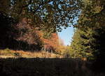 Das leuchtend rotbraune Herbstlaub der Ebereschen bildet einen schönen Kontrast zum Dunkelgrün der Nadelbäume und zum strahlenden Blau des Himmels; am frühen Nachmittag des
