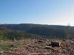 Da ein ganzes Waldstück hier am Sägemühlenberg gerodet wurde und also fehlt, finde ich hier einen hervorragenden Aussichtspunkt: Vor mir in der Tiefe liegt das Odertal mit den