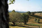 Von einem Feldweg in der Nähe der Braunlager Straße bei St. Andreasberg schweift der Blick über Wiesen und knorrige Laubbäume zu Bergen des Südharzes am Horizont, so z.B. zum Stöberhai, unverkennbar mit seinem Aussichtsturm, in der Bildmitte; Aufnahme vom Morgen des 19.08.2019...