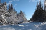 Unterwegs auf der Hahnenkleer Waldstraße; Aufnahme vom Nachmittag des Sa., 13.02.2021...