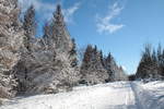 Unterwegs auf der Hahnenkleer Waldstraße; Aufnahme vom Nachmittag des Sa, 13.02.2021...