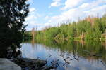 Am Silberteich ist es immer schön, zu jeder Jahreszeit; Aufnahme vom frühen Abend des 11.06.2022 westlich vom Staudamm...