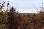 Herbststimmung an der Hahnenkleer Waldstraße: der Blick schweift über neu entstehenden Mischwald mit buntem Laub hinüber zur gegenüberliegenden Bergreihe jenseits des Odertals;