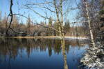 Winterstimmung am Silberteich bei Braunlage am Nachmittag des 21.11.2022...