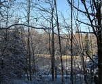 Nun bin ich am Silberteich angekommen; Blick am Nachmittag des 21.11.2022 durch den Wald hinunter auf den kleinen See...