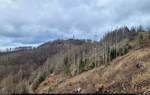 Das Wanderziel in Sichtweite: der 687 Meter hohe Große Knollen, gelegen in einem großen unbewohnten Teil des Harzes zwischen Herzberg und Bad Lauterberg und zugleich Stempelstelle 150 der